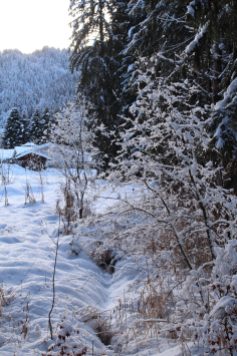 Lac des Chavants woods in wintertime © montblancfamilyfun.com